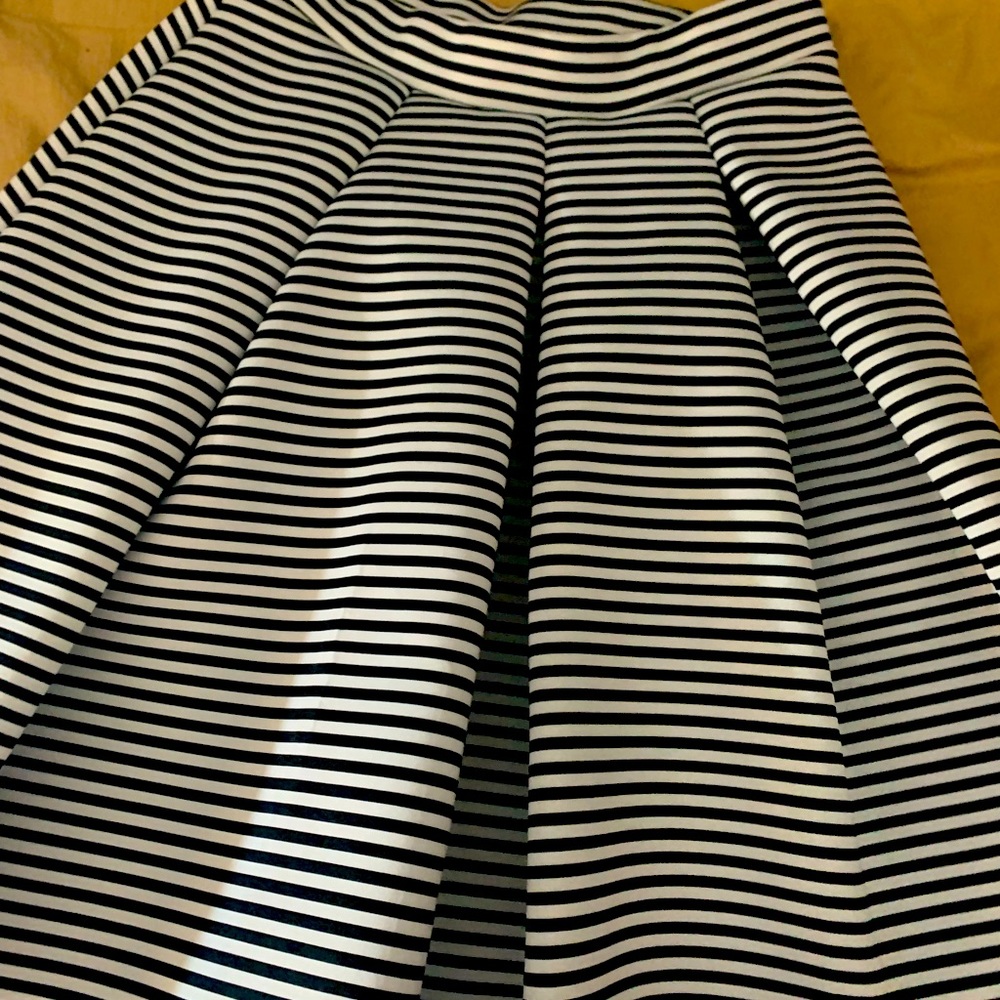 Charlotte Russe skirt